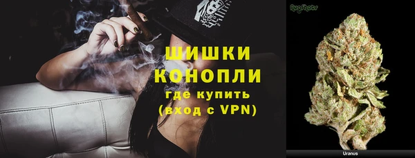 mdpv Богородицк