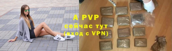 mdpv Богородицк