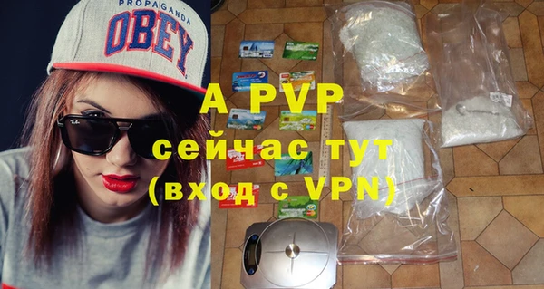 mdpv Богородицк