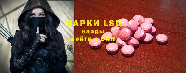 ПСИЛОЦИБИНОВЫЕ ГРИБЫ Беломорск